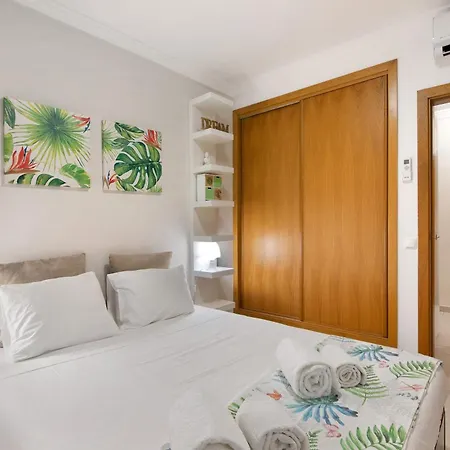 Cozy Nest Loulé